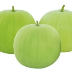 有機冬瓜(芋頭冬瓜)