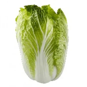 有機包心白菜