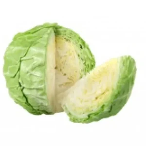 有機甘藍(高麗菜)