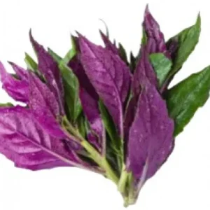 有機紅鳳菜