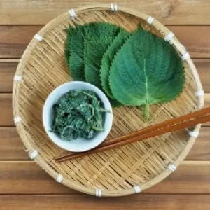 有機芝麻葉(韓國芝麻葉)