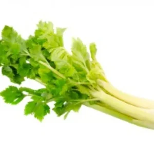 有機芹菜